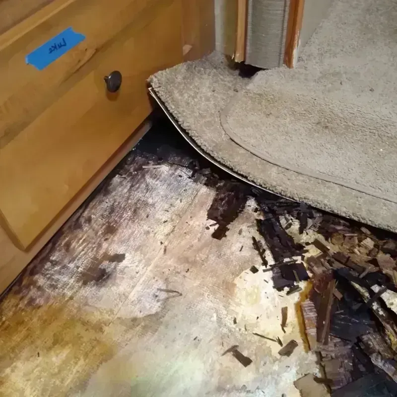 Wood Floor Water Damage in Satellite Beach, FL